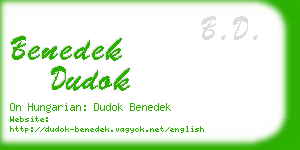 benedek dudok business card